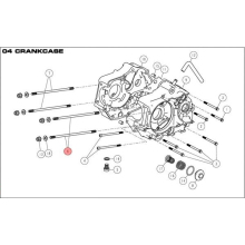 Pinnbult M8x223 Daytona Anima 150/190 4V