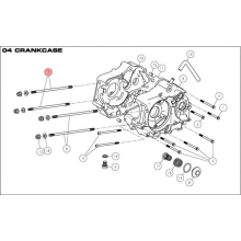 Pinnbult M8x203,5 Daytona Anima 150/190 4V