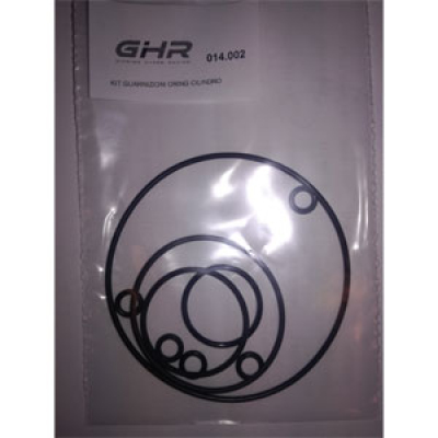 O-ring cylinder/topp GHR 50cc sats