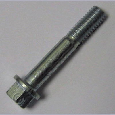 Manifold clamp bolt