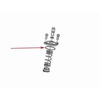 O-ring trottellock Polini CP
