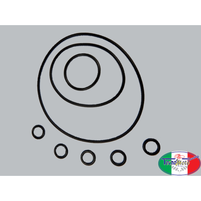 O-ring sats Viton Topp BZM 50cc